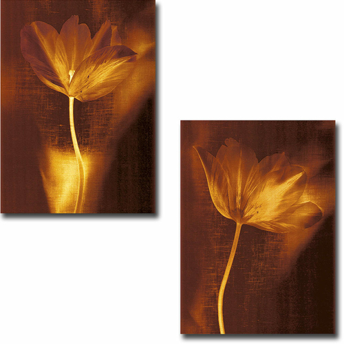 Artistic Home Gallery 1216M7351EG Bronze Tulip I & II by Butler 2-Piec
