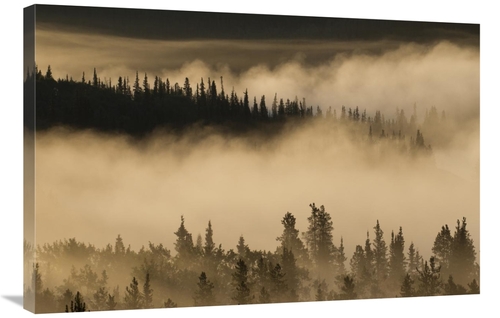 Global Gallery GCS-395448-2436-142 24 x 36 in. Morning Fog Near Swan L