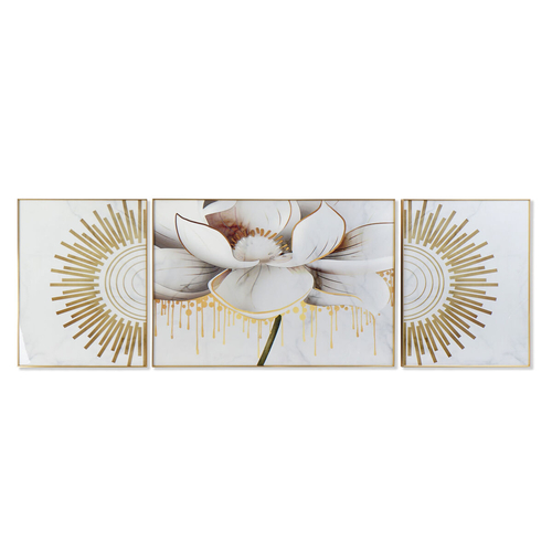 Painting DKD Home Decor Flower (240 x 3 x 80 cm)