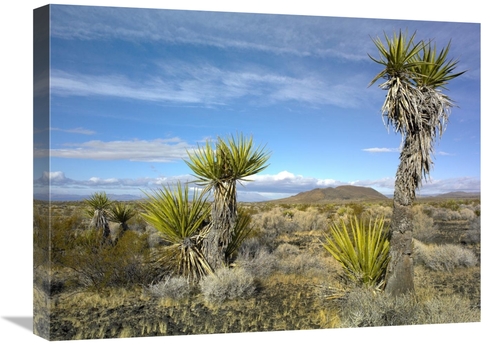 Global Gallery GCS-397106-1824-142 18 x 24 in. Cinder Cones, Joshu
