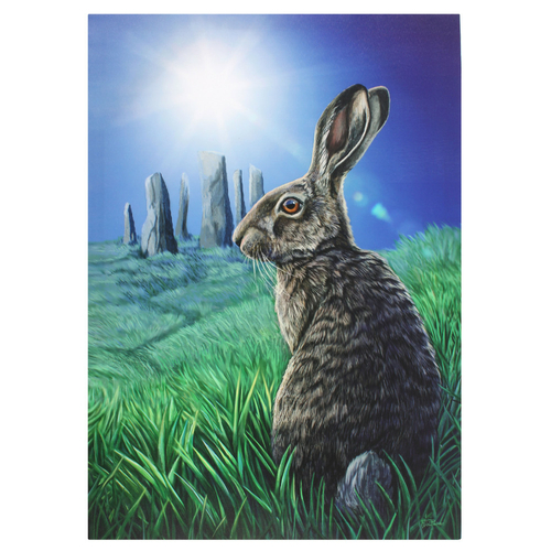 50x70cm Solstice Canvas Plaque by Lisa Parker