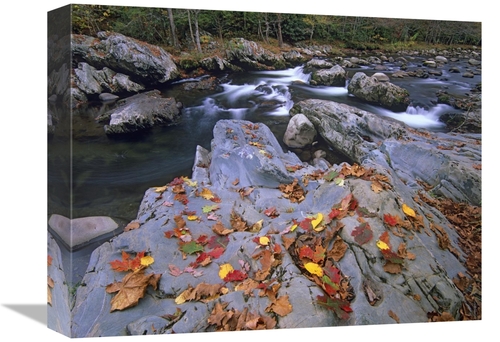 Global Gallery GCS-396727-1216-142 12 x 16 in. Little Pigeon River,