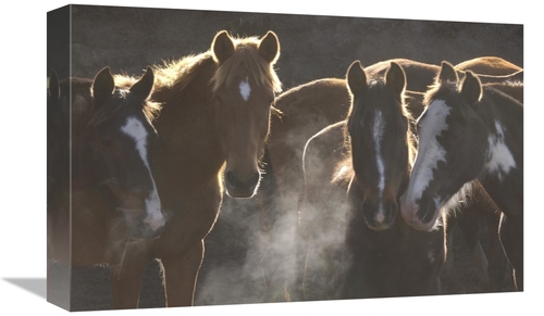 Global Gallery GCS-453136-1218-142 12 x 18 in. Horse Herd At Annual Ro