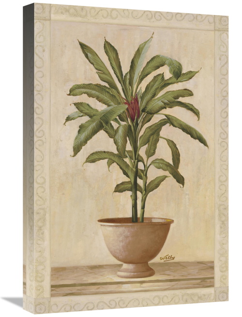 Global Gallery GCS-121180-1624-142 16 x 24 in. Potted Palm I Art Print