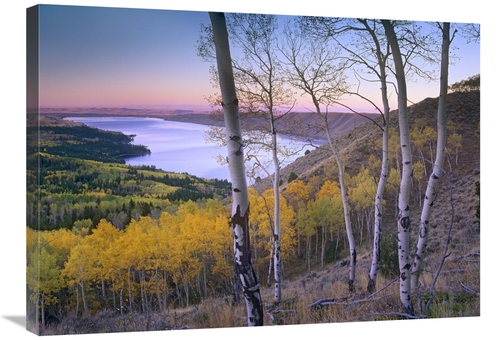 Global Gallery GCS-396936-2432-142 24 x 32 in. Aspen Forest Overlookin