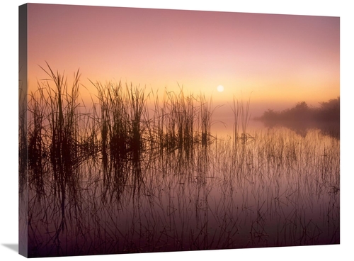 Global Gallery GCS-396970-2432-142 24 x 32 in. Reeds Reflected in Swee