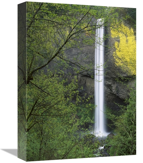 Global Gallery GCS-396512-1216-142 12 x 16 in. Latourell Falls, Co