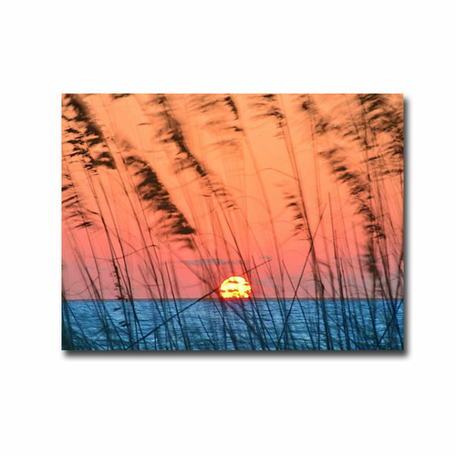 Artistic Home Gallery 3040A728IG Sun Dance by Steve Vaughn Premium Ove