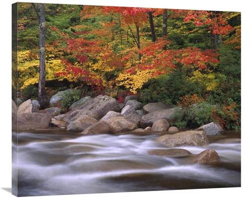 Global Gallery GCS-463204-36-142 36 in. Autumn Along Swift River, 