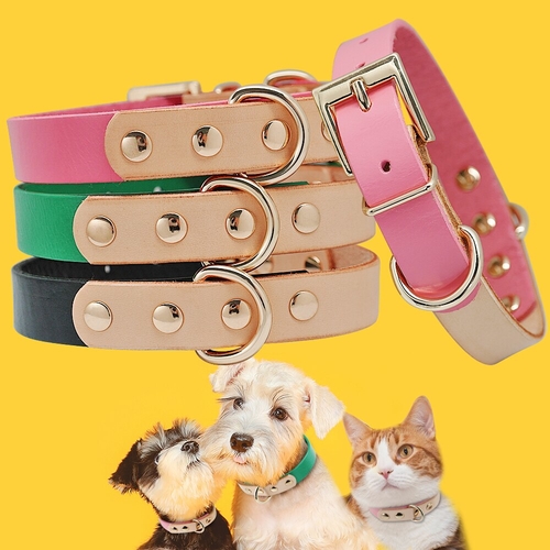 Cute Leather Dog Collar Colored Pet Collars for