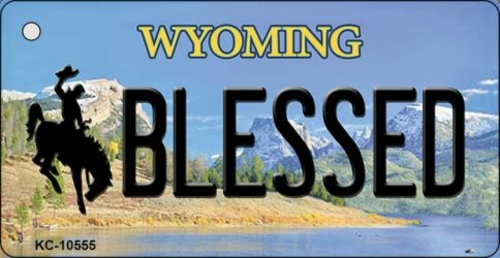 Smart Blonde KC-10555 3.5 x 2 in. Blessed Wyoming State License Plate 