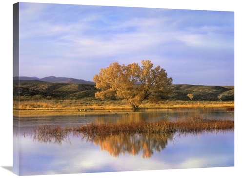 Global Gallery GCS-395955-2432-142 24 x 32 in. Sandhill Crane Flock in