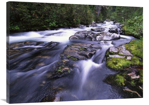 Global Gallery GCS-396354-3040-142 30 x 40 in. Paradise River, Mt 
