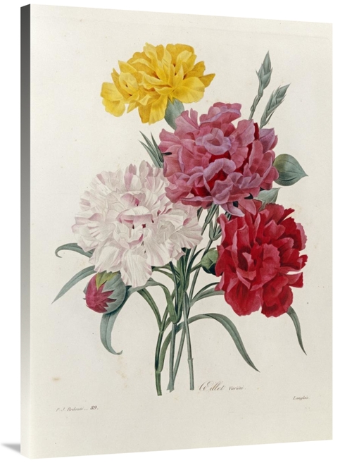 Global Gallery GCS-267092-40-142 40 in. Carnations Art Print - Pierre 