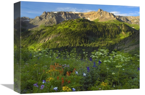 Global Gallery GCS-395944-1216-142 12 x 16 in. Wildflower Meadow Looki