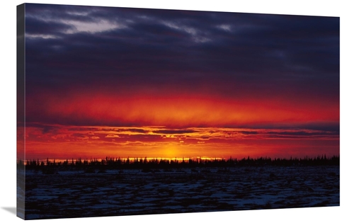 Global Gallery GCS-452497-2436-142 24 x 36 in. Sunset Over Boreal Fore