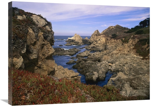 Global Gallery GCS-396612-2432-142 24 x 32 in. Iceplant Growing on Cli