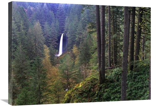 Global Gallery GCS-396444-2432-142 24 x 32 in. North Falls, Silver