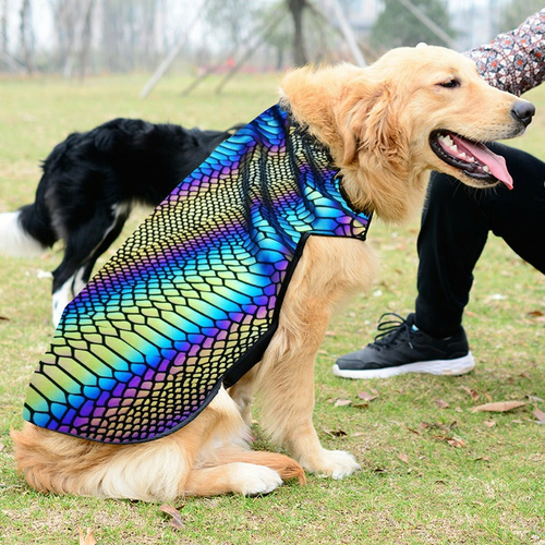 The Lumination Holographic Dog Vest