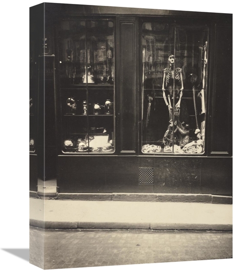 Global Gallery GCS-454965-1216-142 12 x 16 in. Zoologists Shop Art Pri