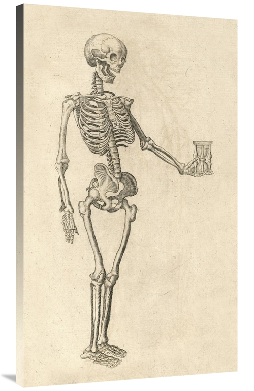 Global Gallery GCS-454961-44-142 44 in. Human Skeleton with Hourglass 