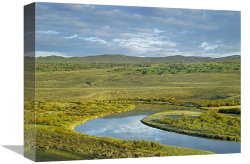 Global Gallery GCS-396766-1216-142 12 x 16 in. Cloudy Skies Over Green