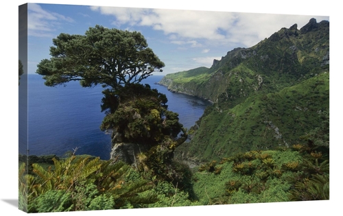 Global Gallery GCS-451816-2030-142 20 x 30 in. The Glenn, Site of 