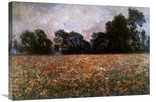 Global Gallery GCS-278656-30-142 30 in. Field of Wild Poppies Art Prin