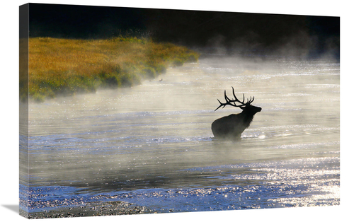 Global Gallery GCS-486552-30-142 30 in. In to Deeper Waters Art Print 