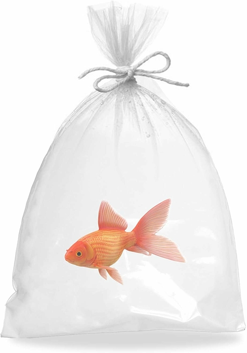 Pack of 100 Plastic Fish Bags 6 x 12. Clear Polyethylene Bags 6x12.
