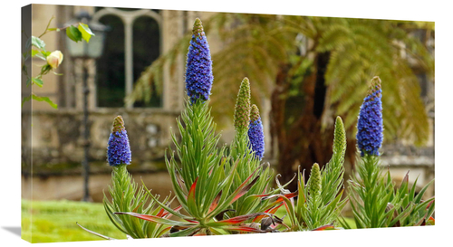 Global Gallery GCS-486612-36-142 36 in. Sintra Gardens Art Print - Vic