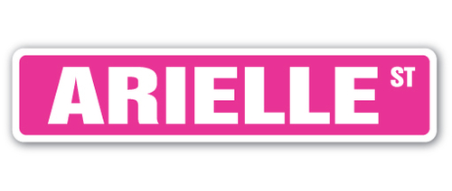 SignMission D-9-SS-ARIELLE 2 x 9 in. Childrens Name Room Street Sign D
