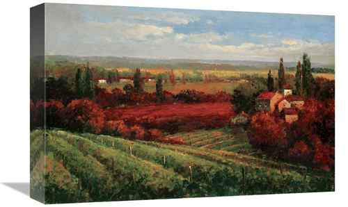 Global Gallery GCS-131029-1218-142 12 x 18 in. Tuscan Fields of Red Ar