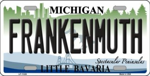 Smart Blonde LP-11029 6 x 12 in. Frankenmuth Michigan Novelty Metal Li