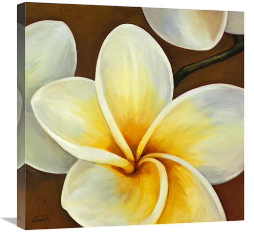 Global Gallery GCS-137414-2424-142 24 x 24 in. Frangipani II Art Print