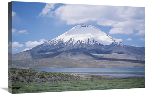 Global Gallery GCS-451458-2030-142 20 x 30 in. Lake Chungara & Parinco