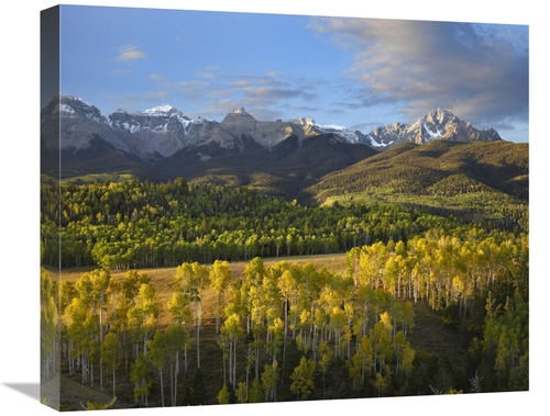 Global Gallery GCS-396775-22-142 22 in. Quaking Aspen Forest & Mount S