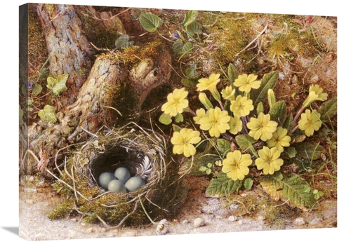 Global Gallery GCS-266592-30-142 30 in. Still Life with a Birds Nest A