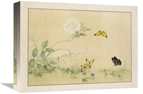 Global Gallery GCS-110335-1216-142 12 x 16 in. White Rose & Butterflie