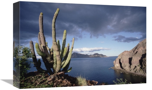 Global Gallery GCS-451528-1218-142 12 x 18 in. Danzante Island, Se