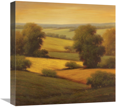 Global Gallery GCS-130185-1818-142 18 x 18 in. Amber Outlook II Art Pr