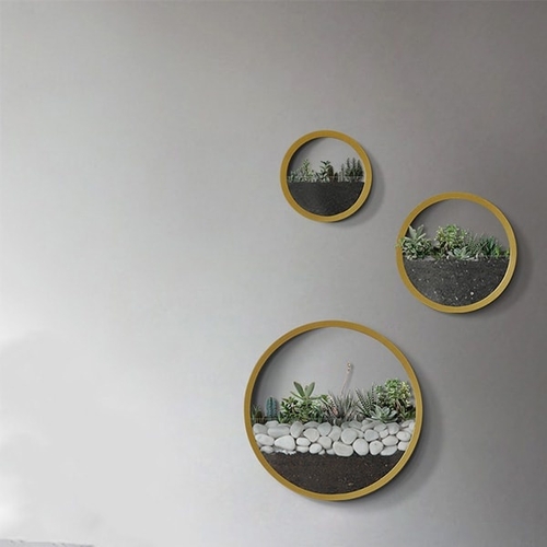 Wall Planters