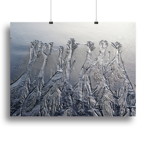 Pattern In The Sand Canvas Print or Poster