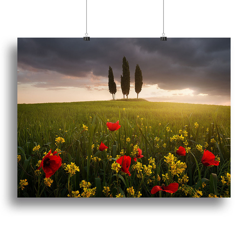 Blooming Tuscany Canvas Print or Poster