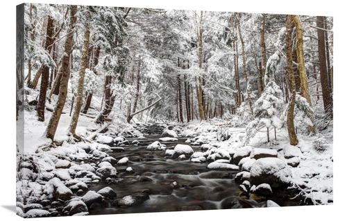 Global Gallery GCS-397597-2436-142 24 x 36 in. Stream in Winter, N