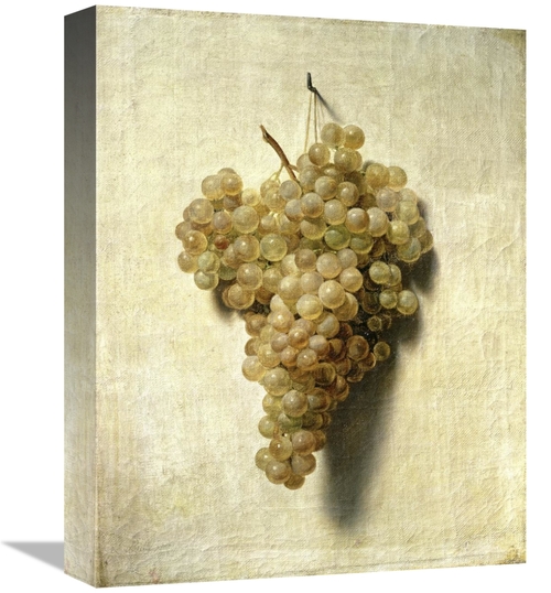 Global Gallery GCS-281741-16-142 16 in. White Grapes - Raisons Blancs 