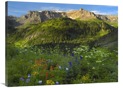 Global Gallery GCS-395944-3040-142 30 x 40 in. Wildflower Meadow Looki