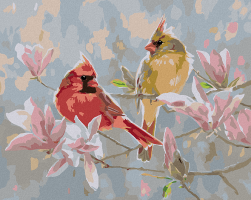 Paint by Numbers - CARDINAL BIRD AND MAGNOLIAS (ABRAHAM HUNTER)