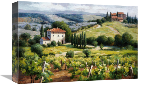 Global Gallery GCS-132520-1218-142 12 x 18 in. Vineyard Trail Art Prin