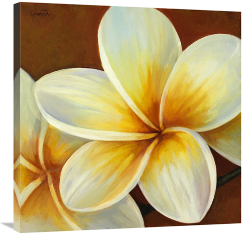 Global Gallery GCS-137413-3030-142 30 x 30 in. Frangipani I Art Print 